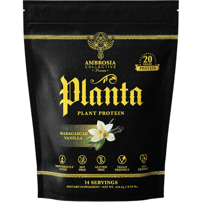 Vanilla Plant Protein