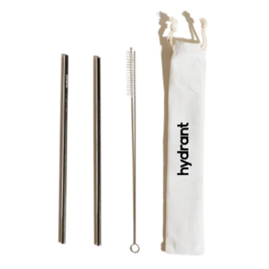 Stainless Steel Straw Set