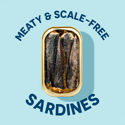 Wild Sardines In Water