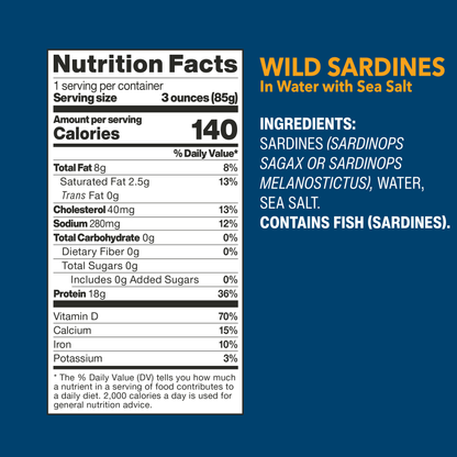 Wild Sardines In Water