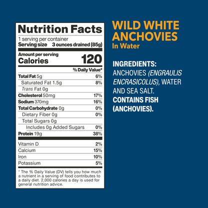 Wild White Anchovies In Water