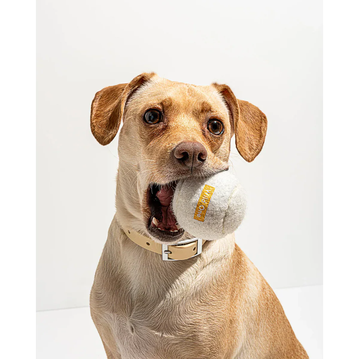Tennis Balls  - Standard - White (4 CT)