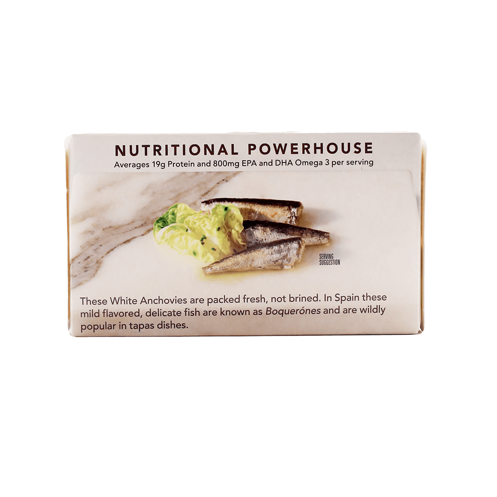 Wild White Anchovies In Water