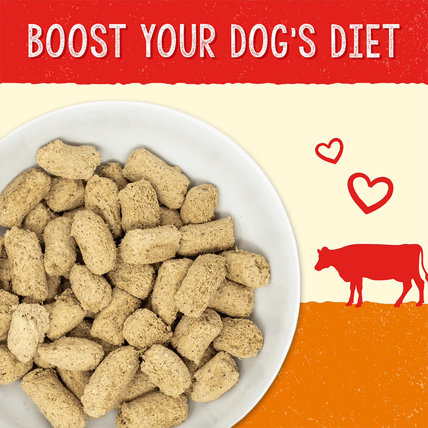 Stella’s Solutions Digestive Support for Dogs