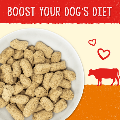 Stella’s Solutions Digestive Support for Dogs