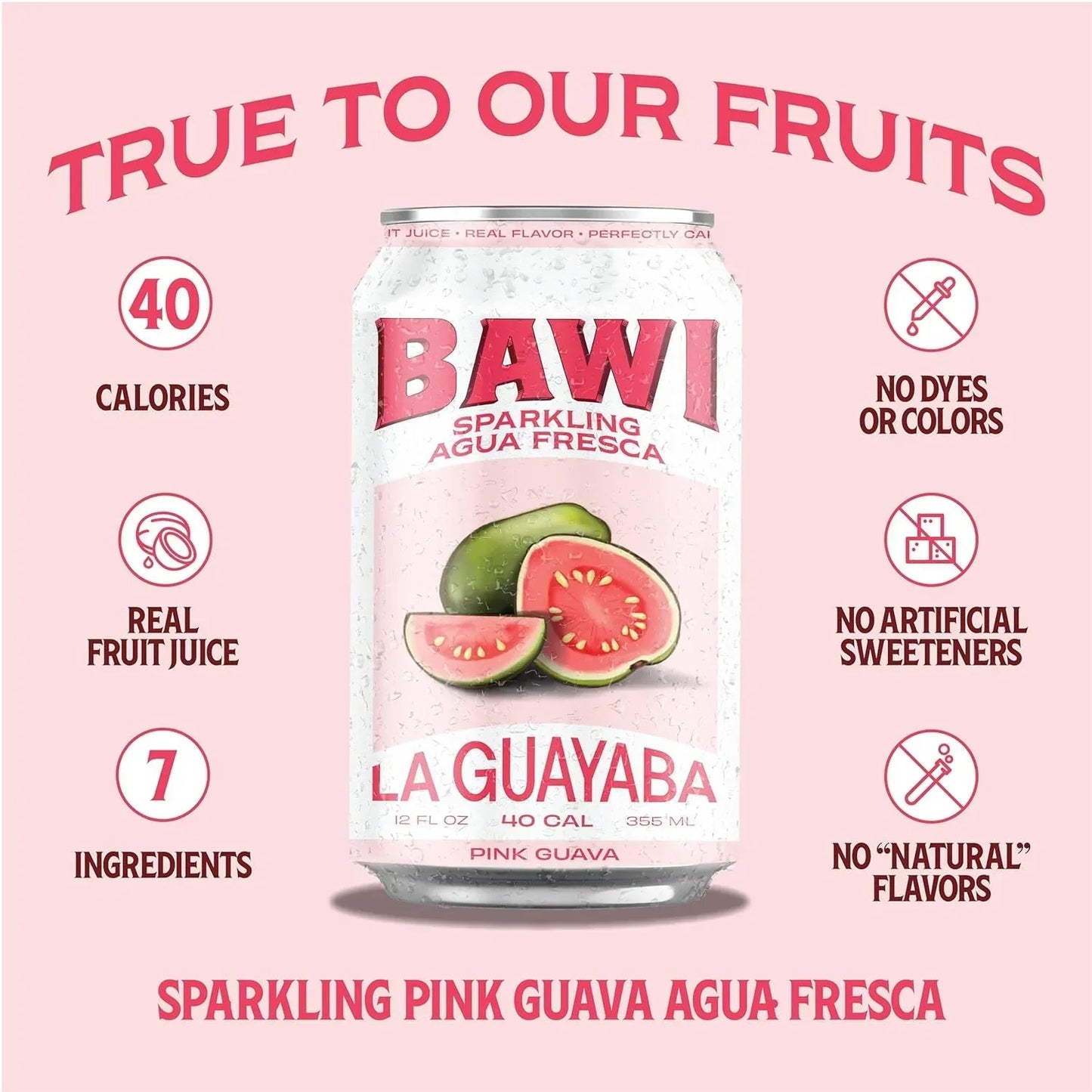 Sparkling Agua Fresca Variety (4 Pack)