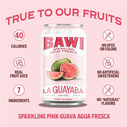 Sparkling Agua Fresca Variety (4 Pack)