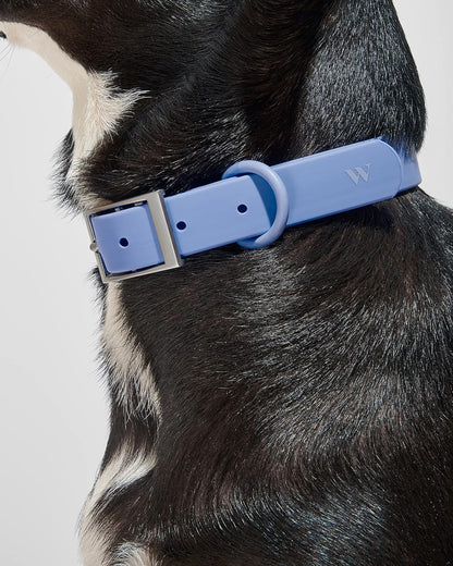 Collar - X Large - Moonstone