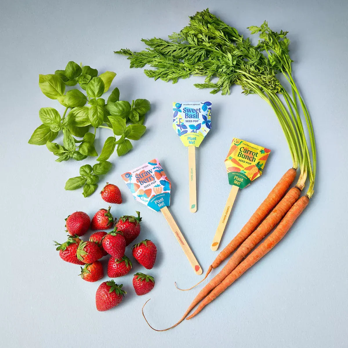 Strawberry Seed Pop - Bullseye