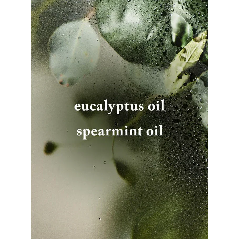 Eucalyptus Spearmint Bath Fizzy