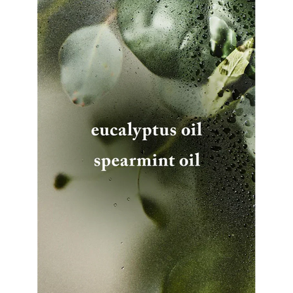Eucalyptus Spearmint Bath Fizzy