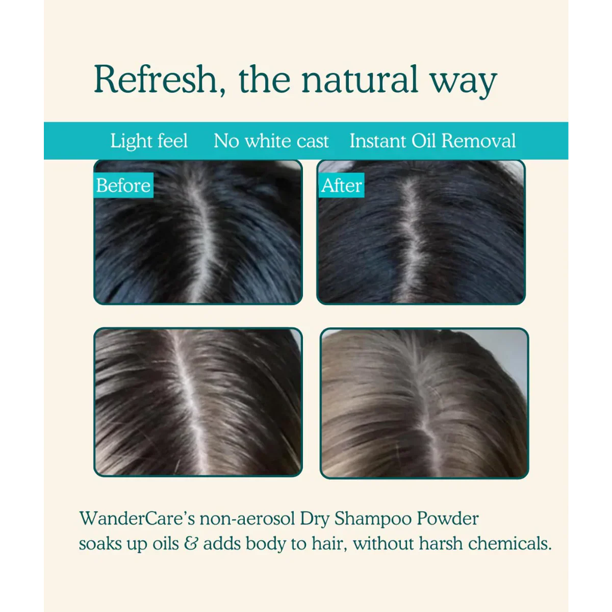 Dry Shampoo Powder