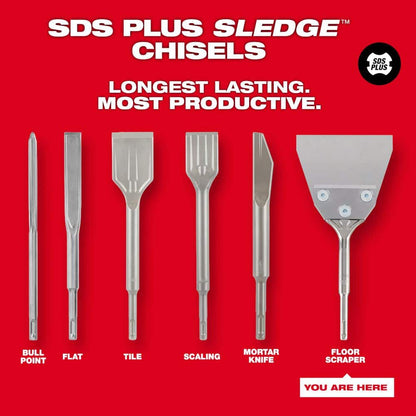5 in. x 10 in. SLEDGE SDS-PLUS Floor Scraper